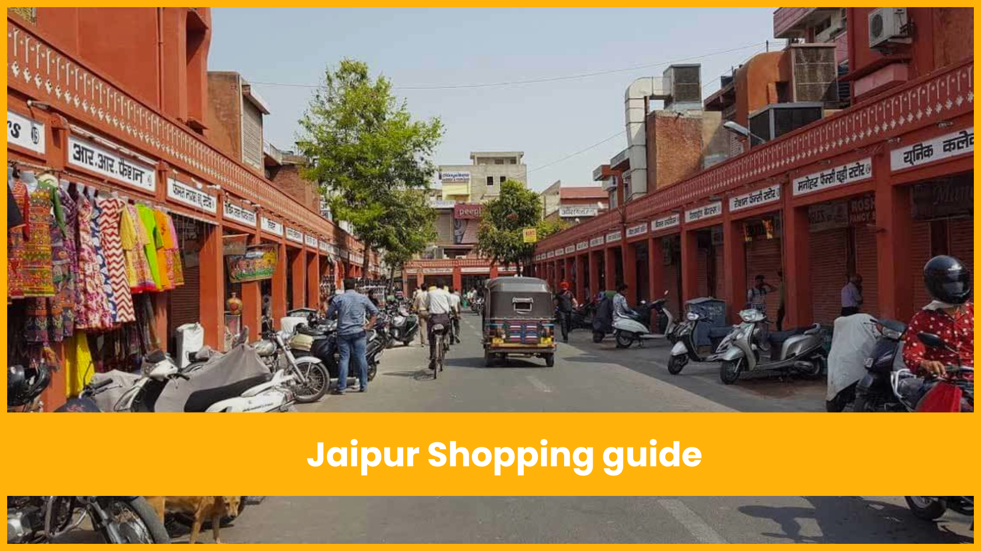 What to Buy from Jaipur: Unique Gifts for Your Favorite Humans